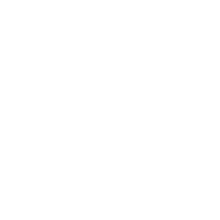 Icon with a book
